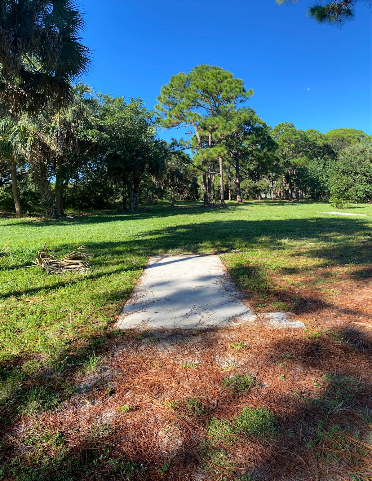 Hole 8