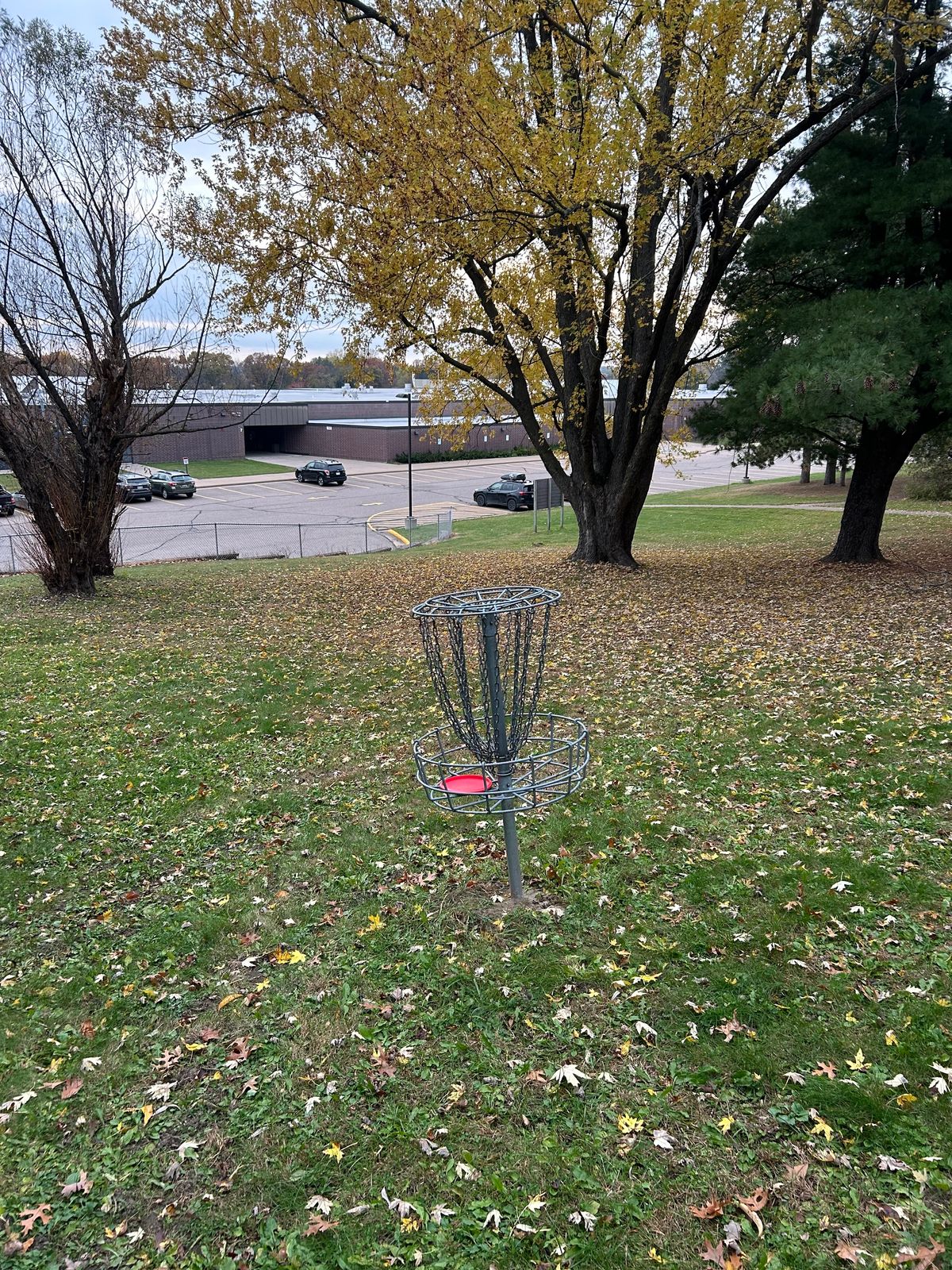 Hole 10 basket