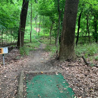 Hole 2 tee. Par 3. Basket is straight ahead.