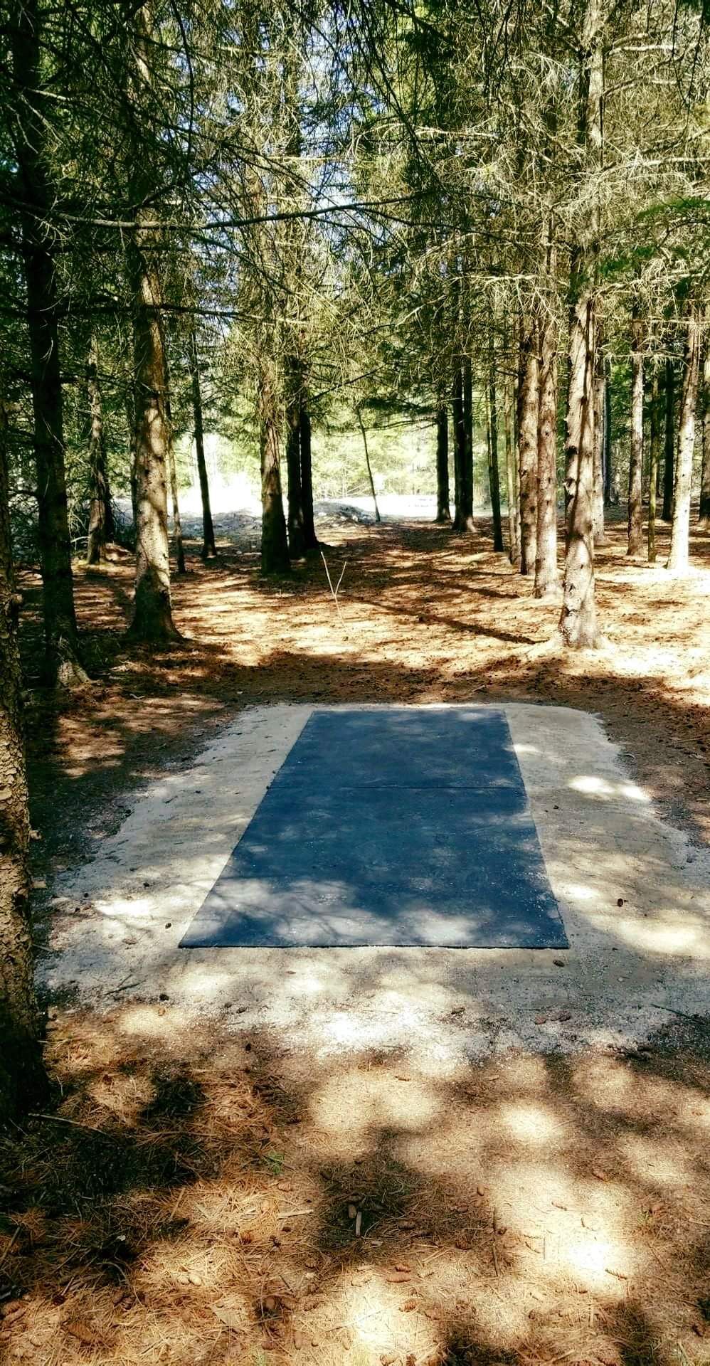 Hole 5 shorts