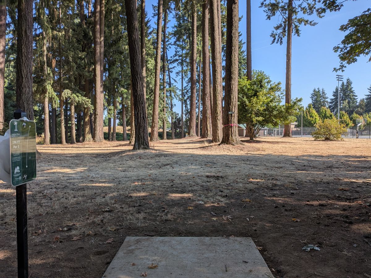 Hole 1