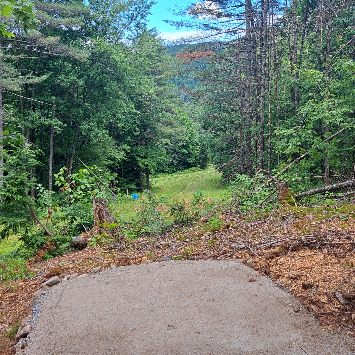 Hole 17 Tee