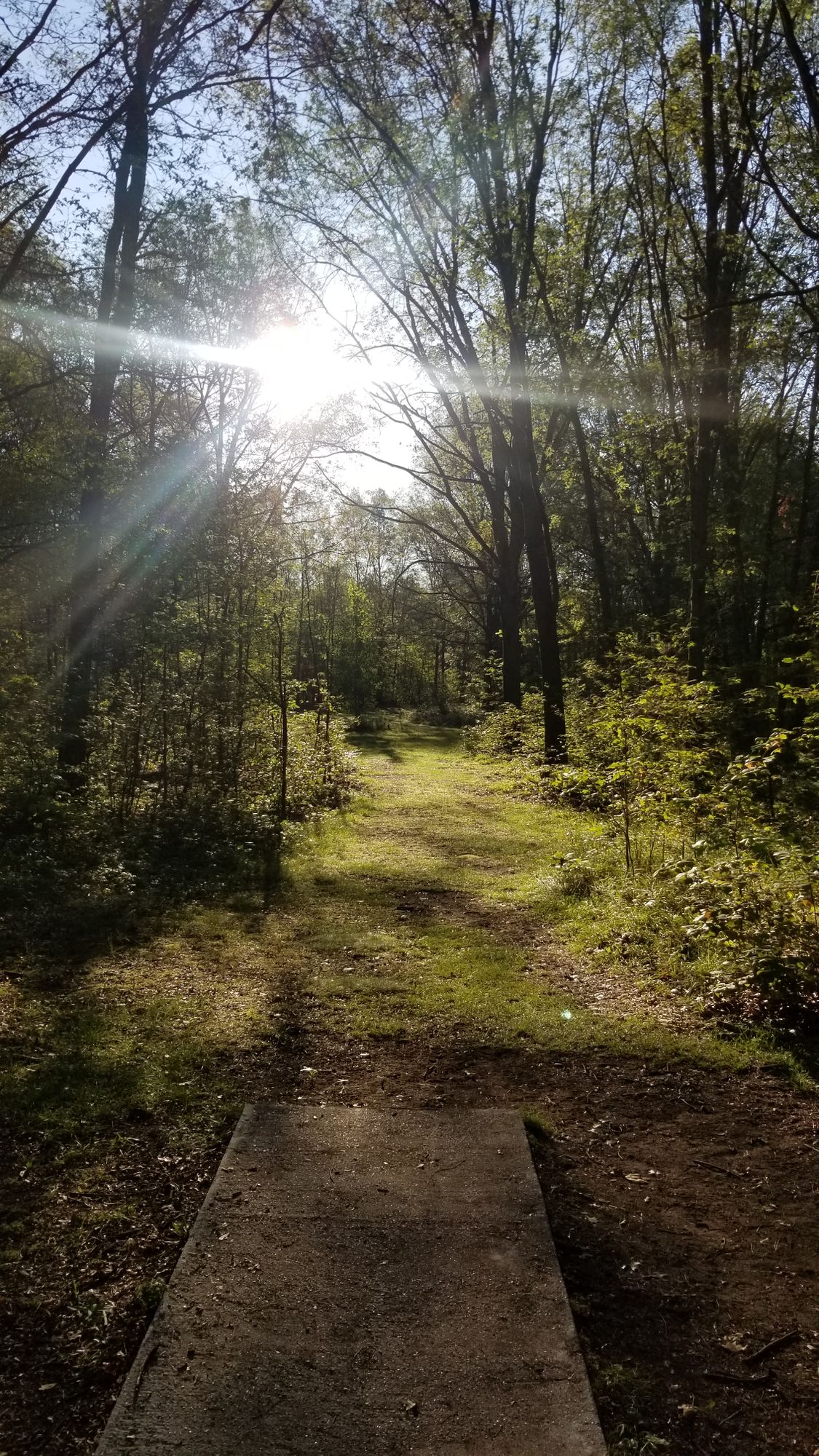 Hole 12 in the morning. (Previously hole 9)