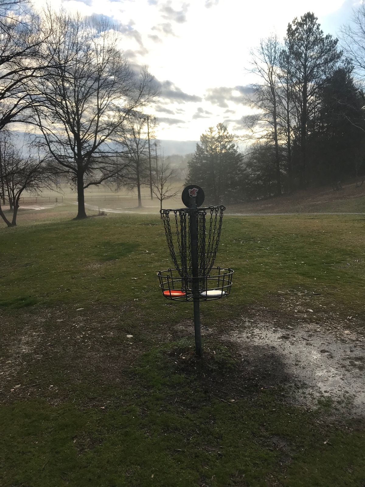 Misty morning
