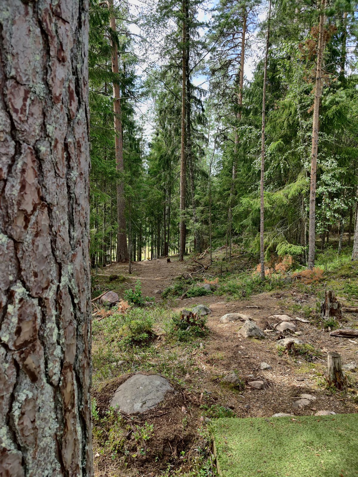 Hål 7.