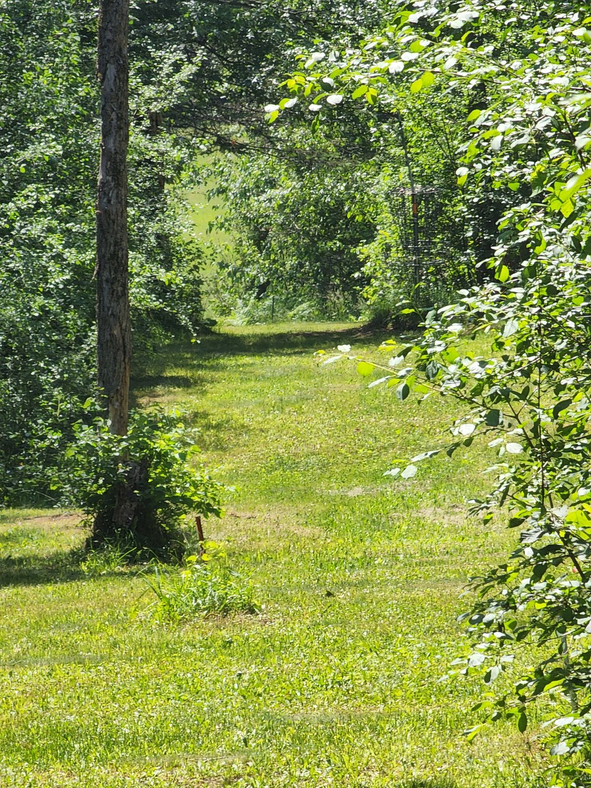Hole 6 Close-Up