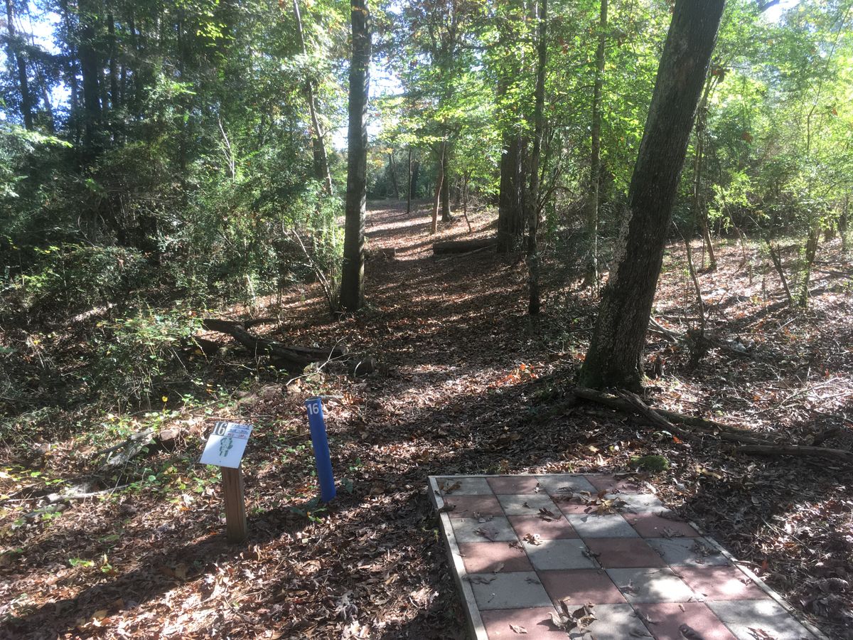 Hole 16 Tee