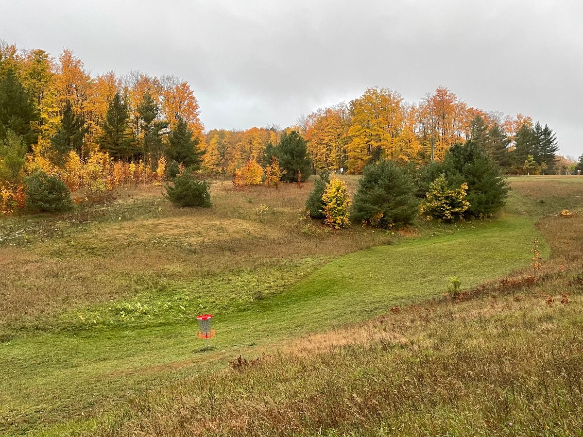 #9 Basket facing back to Tee