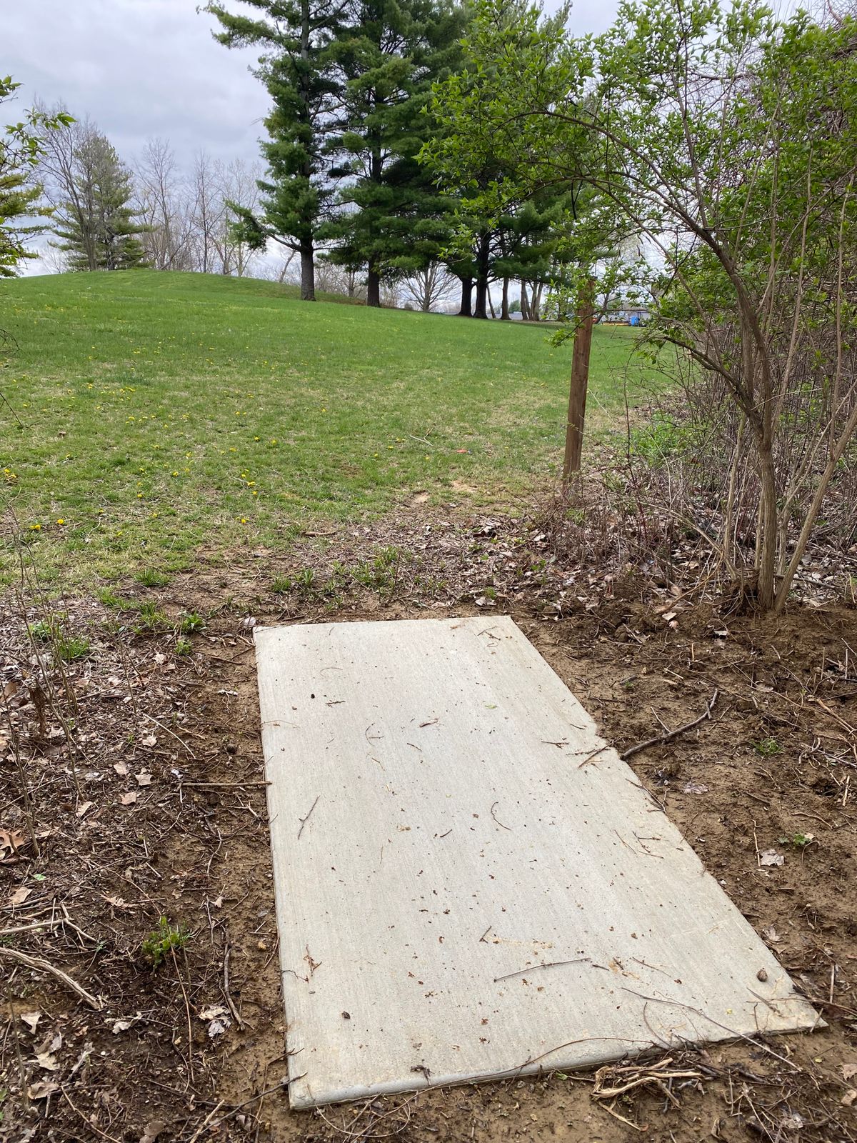 Hole 6 Tee Pad