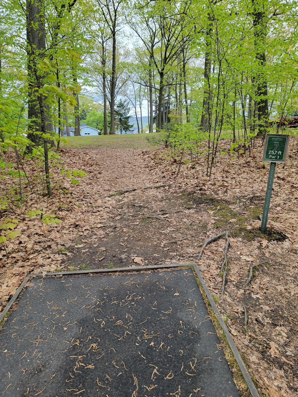 Hole #7