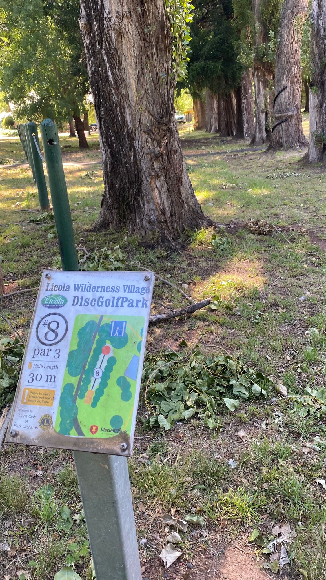 Hole 8 - short par 3