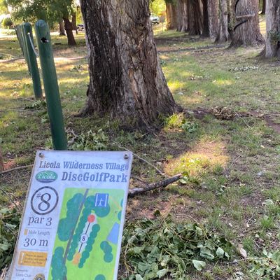 Hole 8 - short par 3