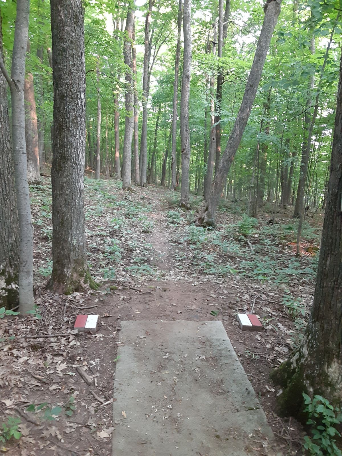 Hole 7 tee