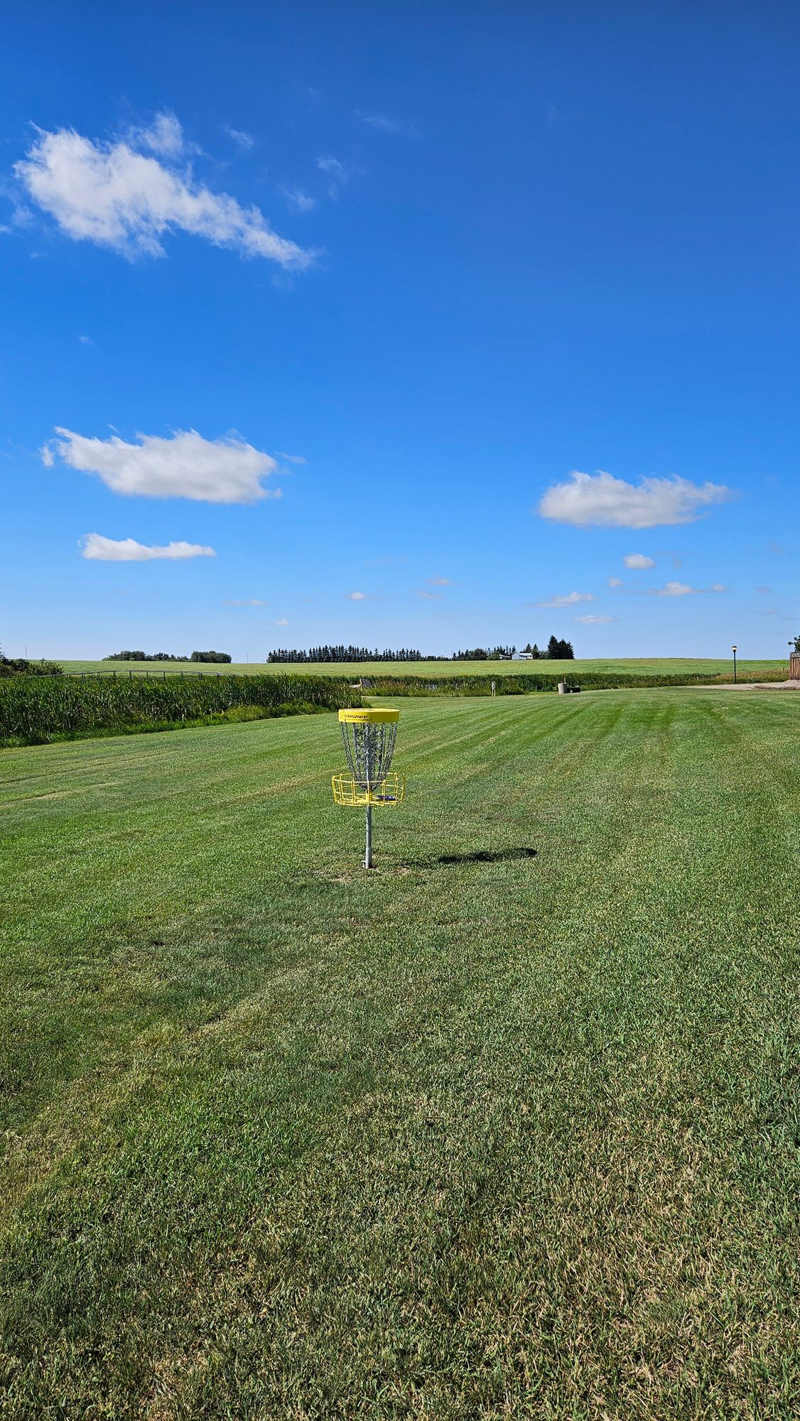 Hole 2 Basket