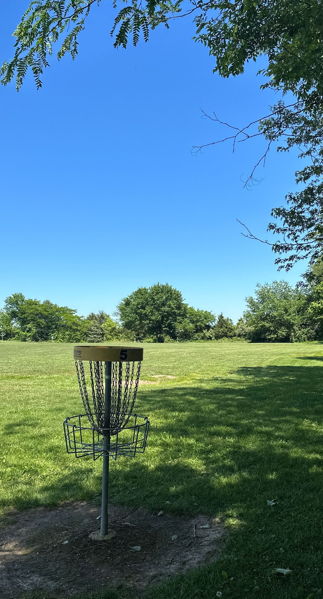 Hole 5