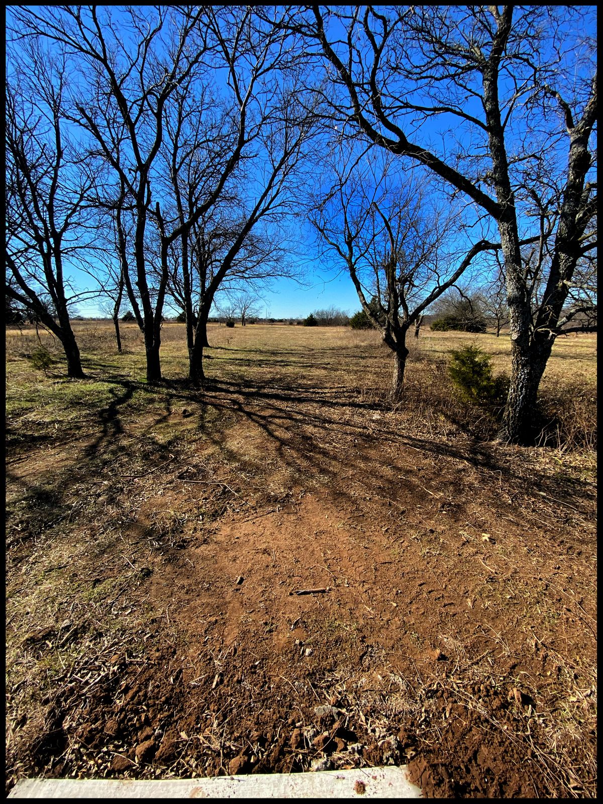#9 Tee Throwing west