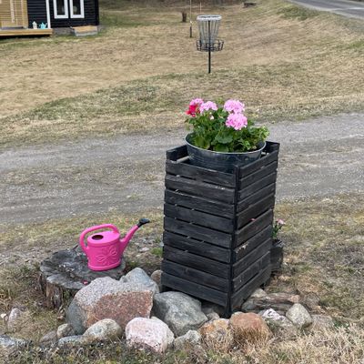 Hål 1, borte korgen