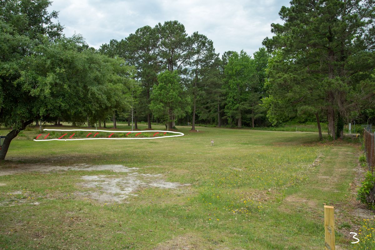 Hole 3, tee off road, blue spray paint lines