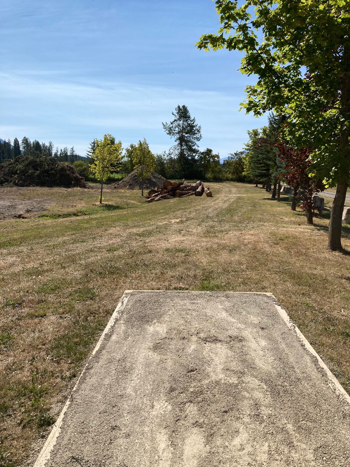 Hole 5 tee