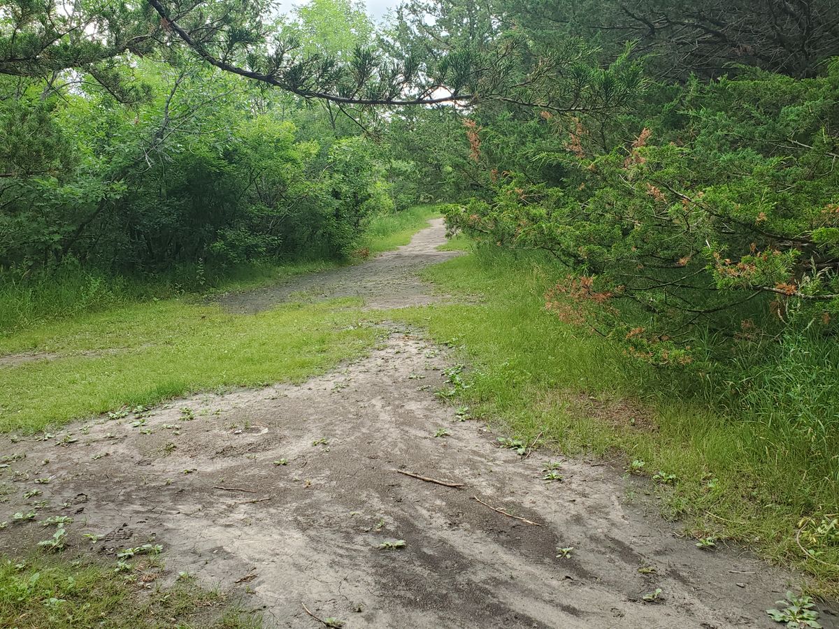 Hole 17. View back down the path to the tee box.