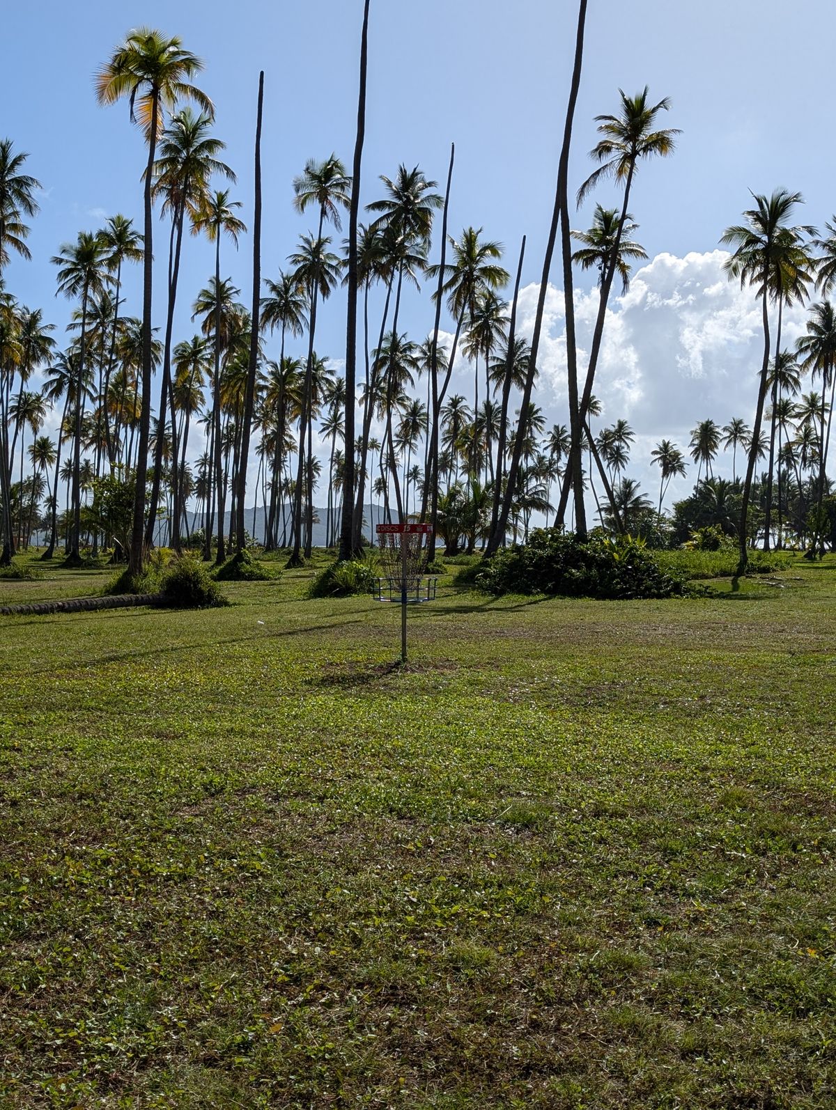 Hole 15