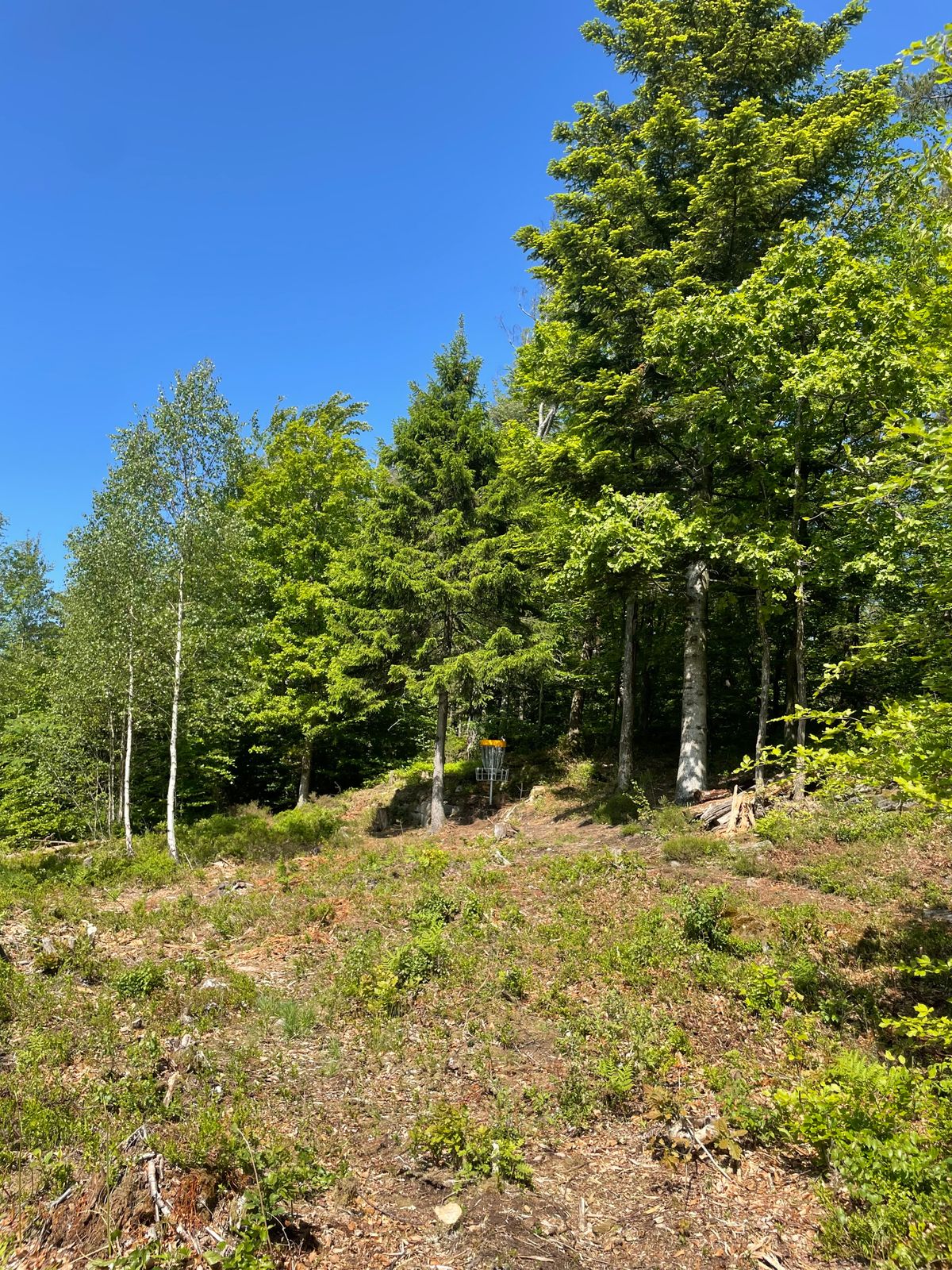 Hål 2 green
