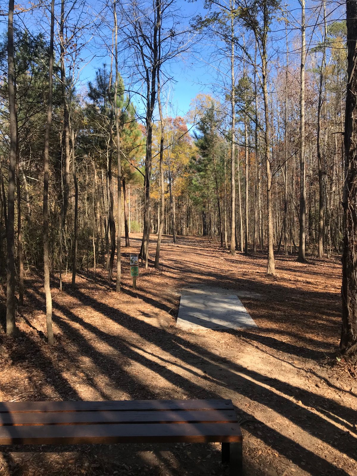 Hole 7 long tee
