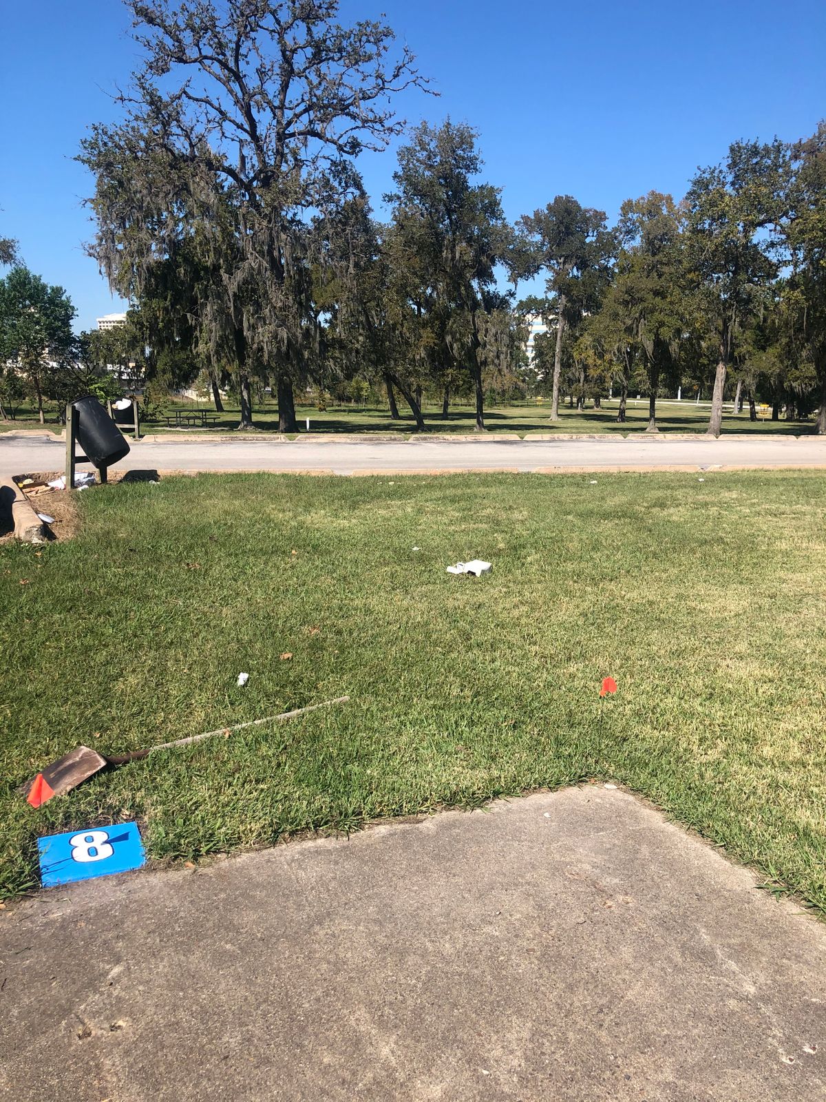 Long 8