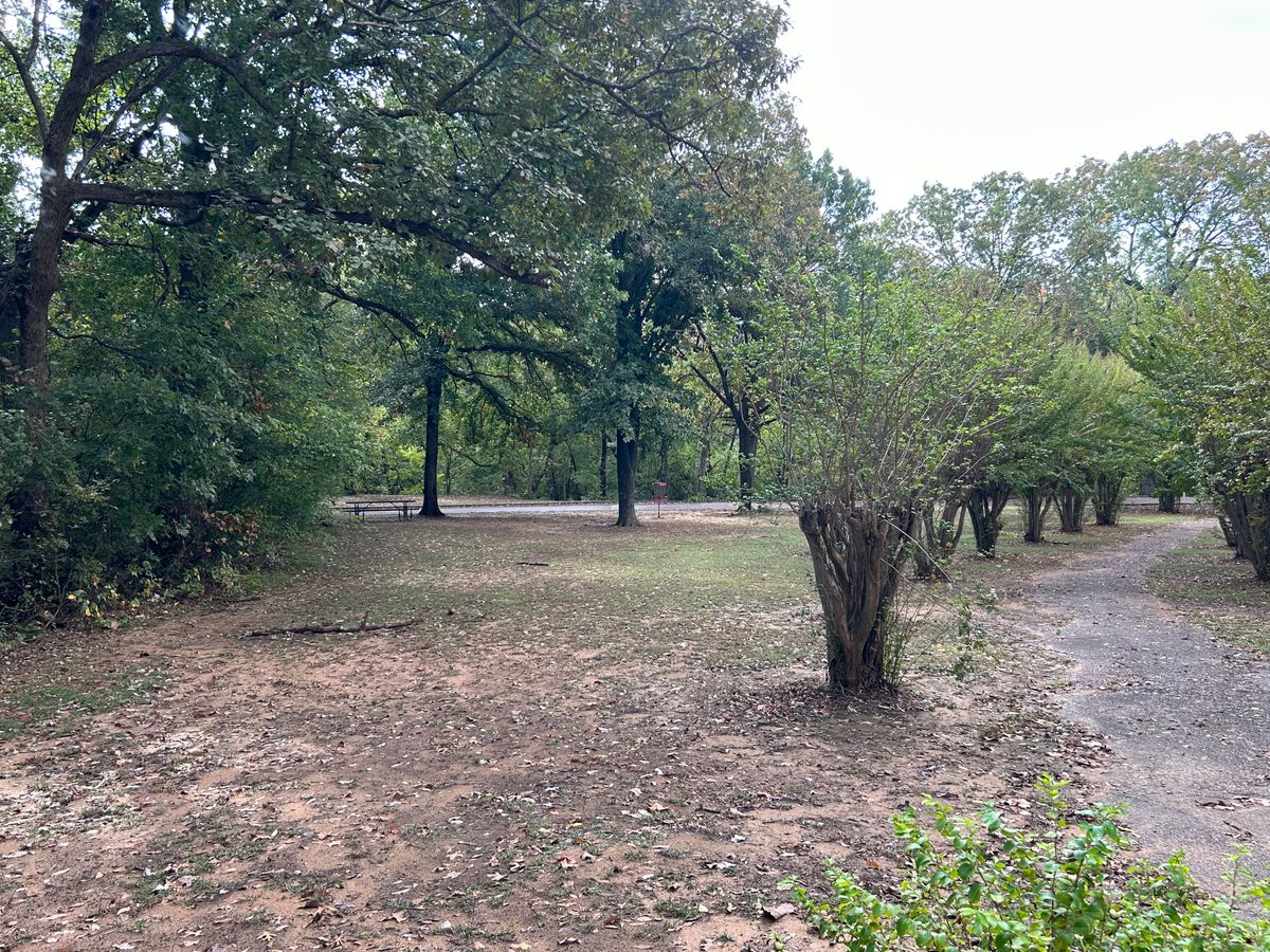 Hole 4 basket
