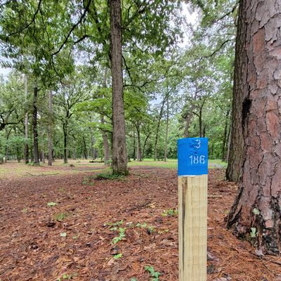 3rd tee