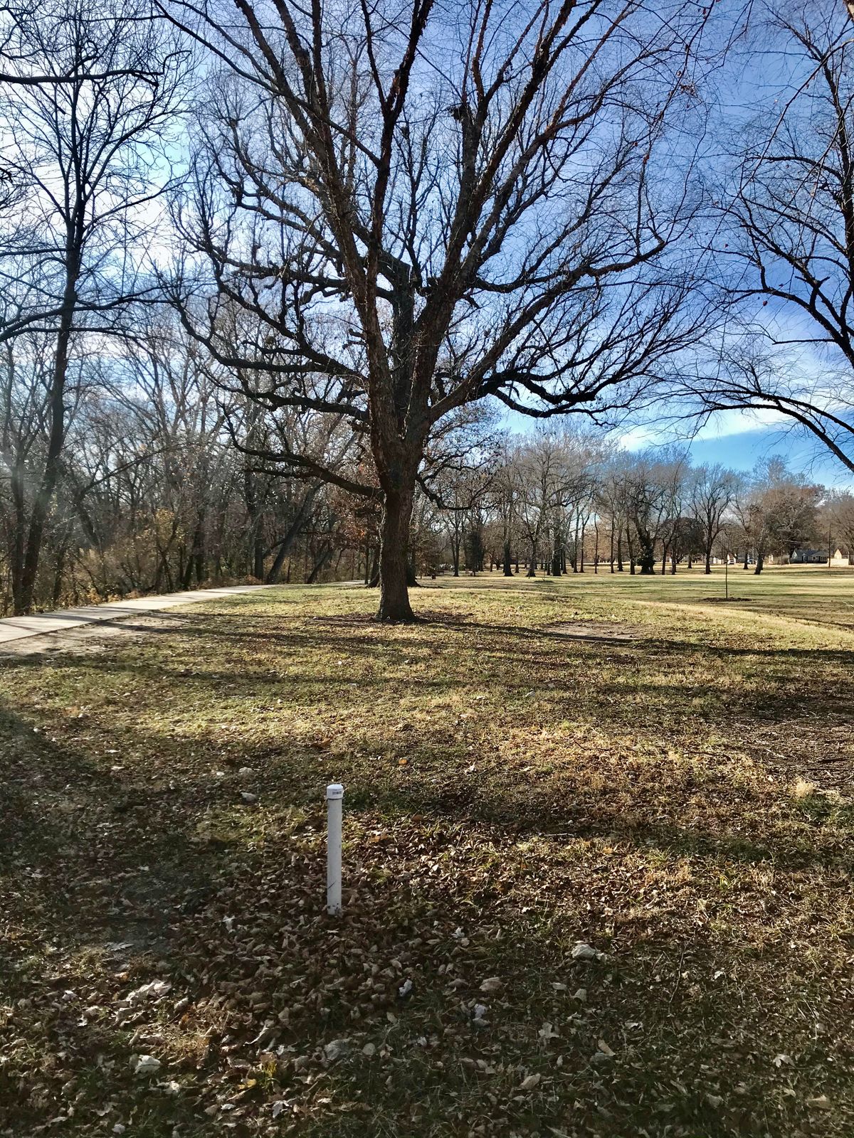 Hole 15 Basket to Tee (Short)