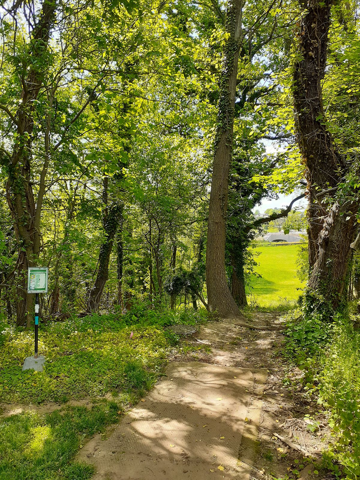 Hole 1p Tee