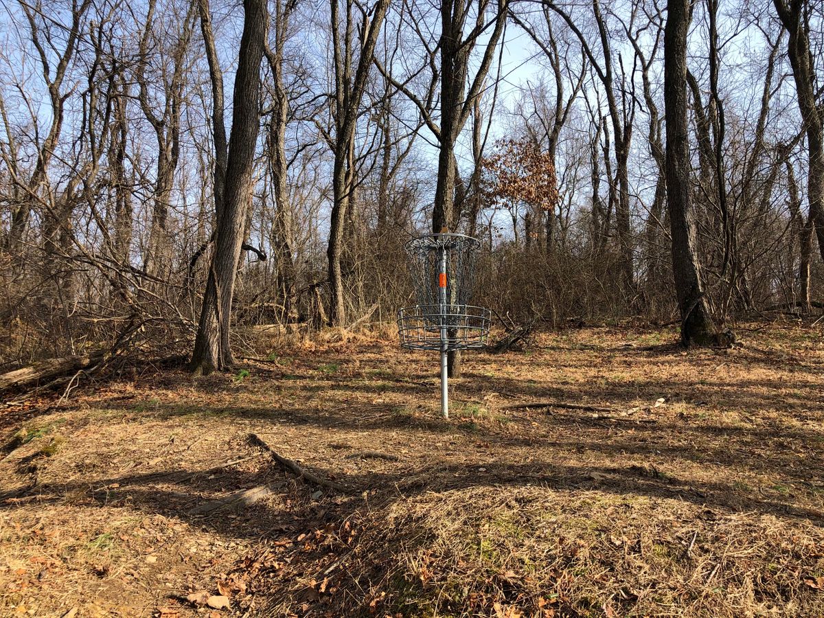 Hole 3 Basket