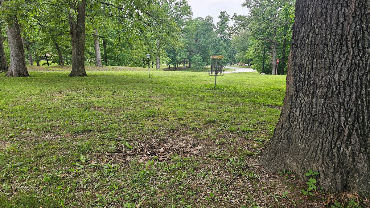 Hole 3 basket