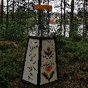 viktorjan
