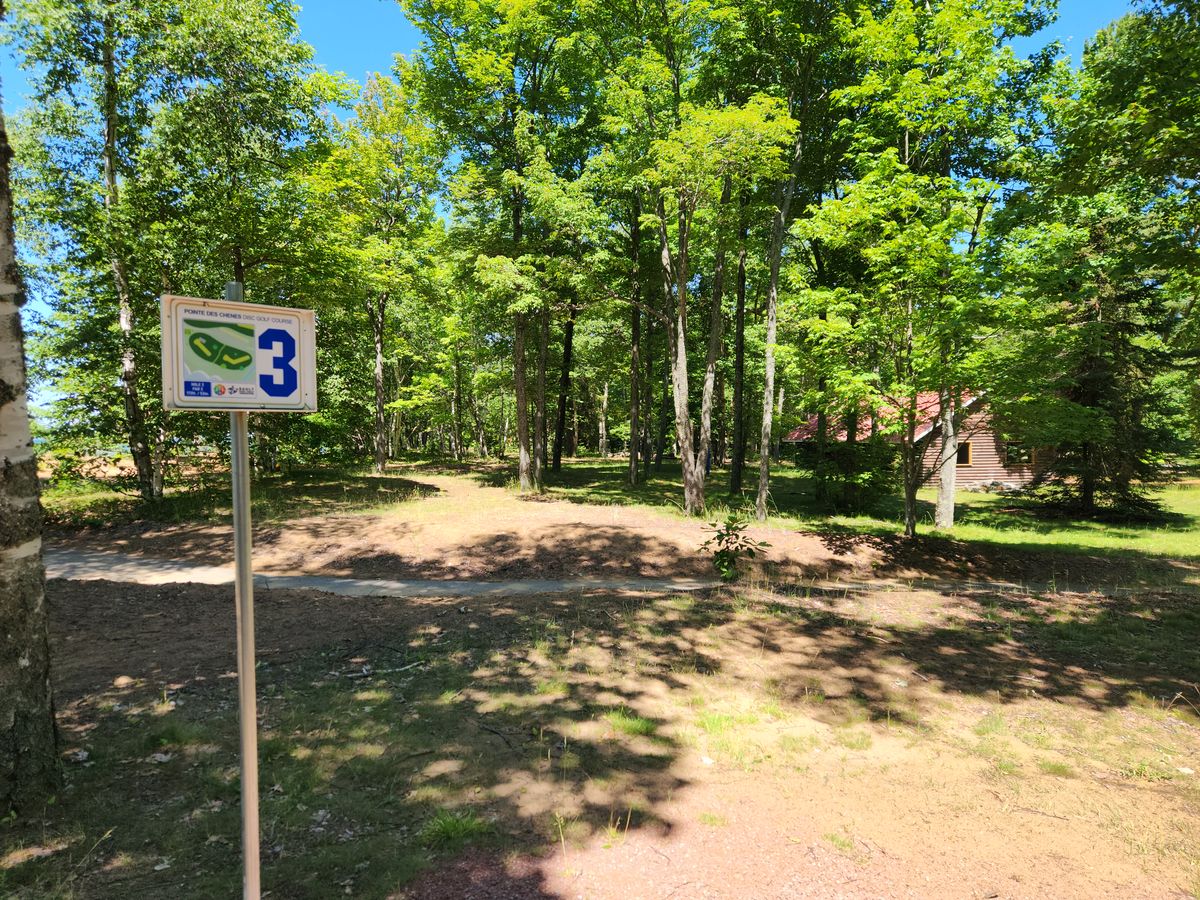 Basket 3 is short and wooded along the beach.