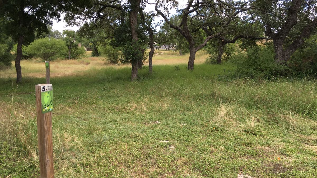 Hole 5