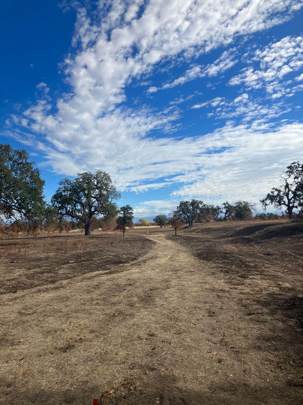 Hole 7