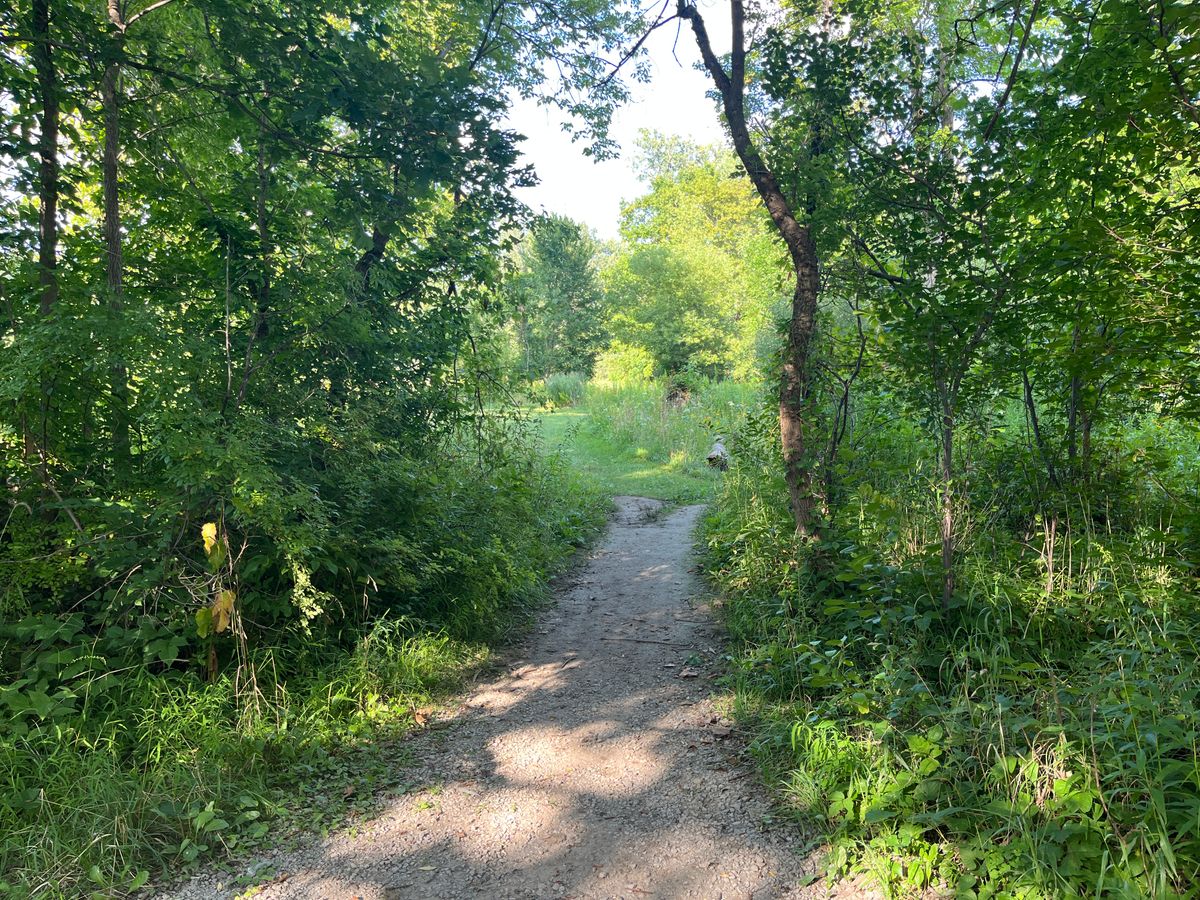 So much vegetation