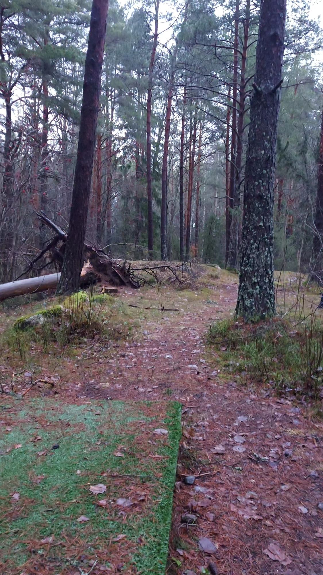 Väylä 2