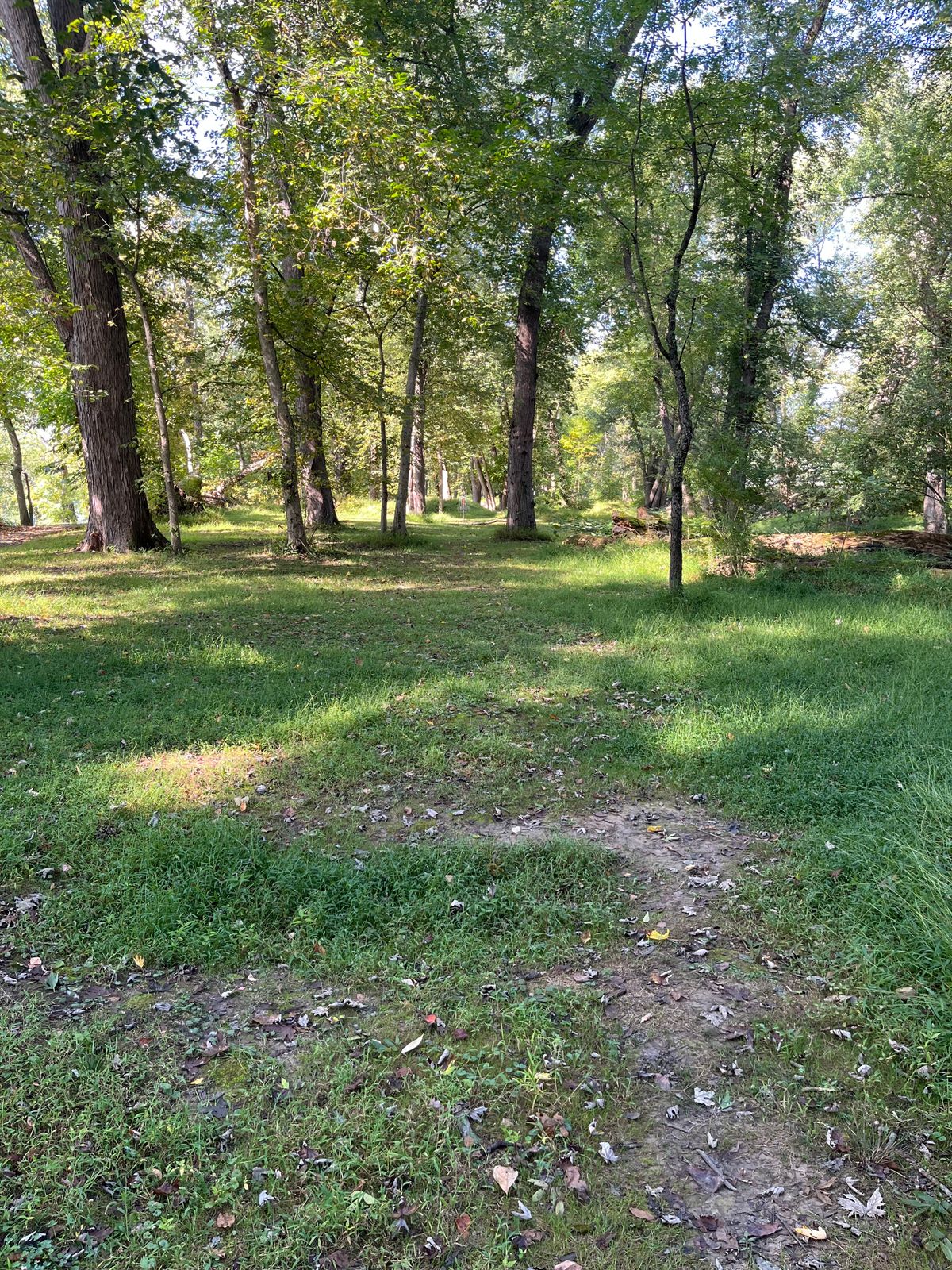Hole 7 fairway