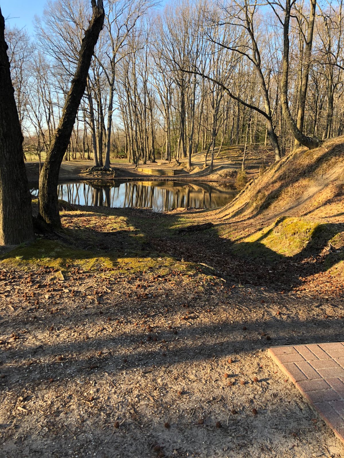 Hole 7 short tee
