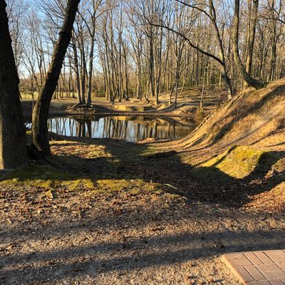 Hole 7 short tee
