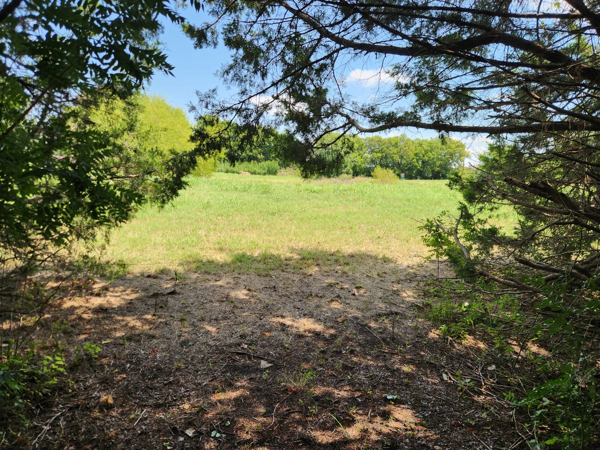 Hole 6 tee