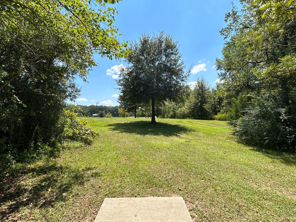 Hole 12 Fairway (White)