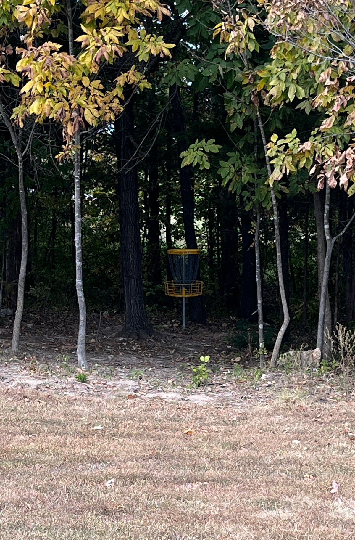 Hole 9 from fairway