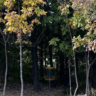 Hole 9 from fairway