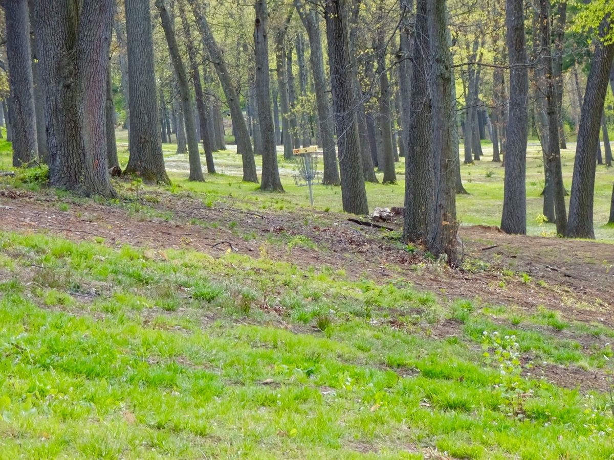 Hole 5A/B basket