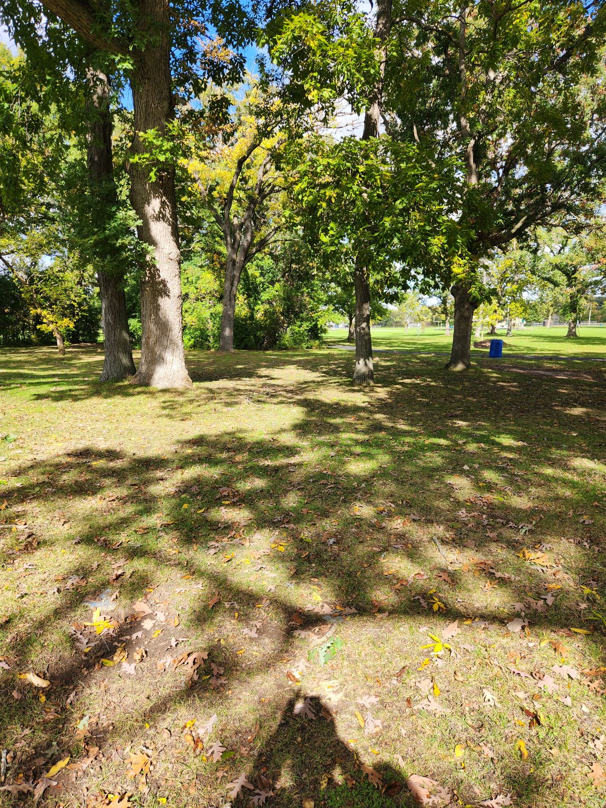 Hole 13 long tee
