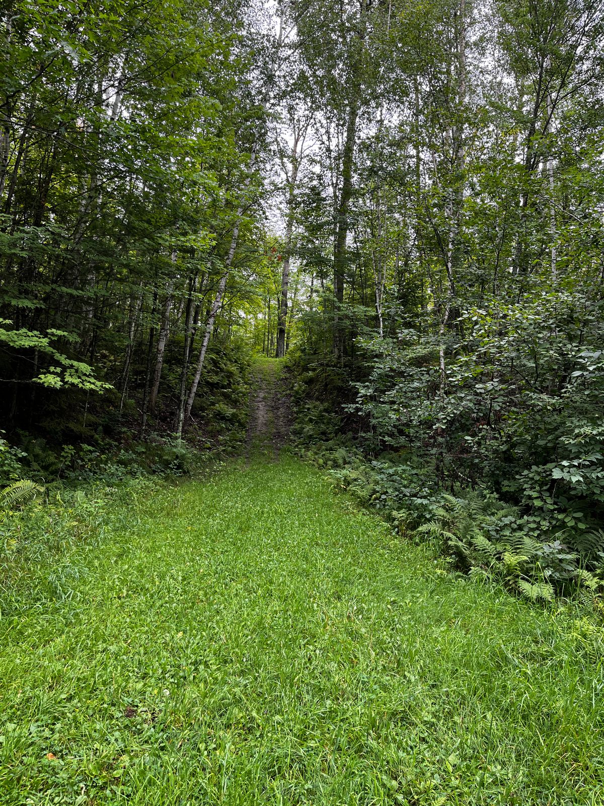 Nice place for a quiet walk while playing